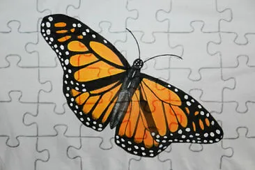 X jigsaw puzzle