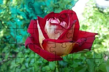 OK jigsaw puzzle