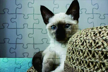 可愛動物 jigsaw puzzle