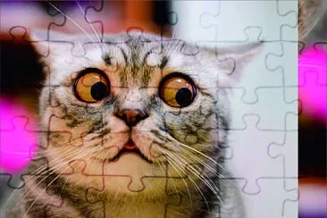 可愛動物 jigsaw puzzle
