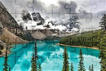 241