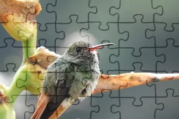 AVE jigsaw puzzle