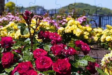 Imagem jigsaw puzzle