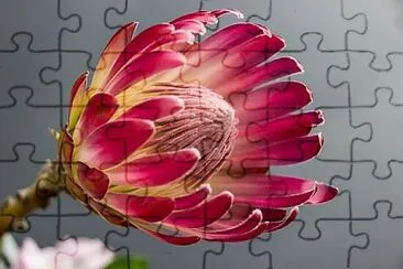 X jigsaw puzzle