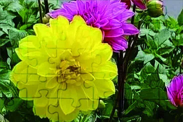 花漾 jigsaw puzzle
