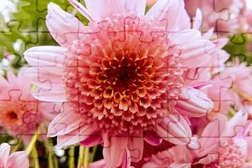 FLORES jigsaw puzzle