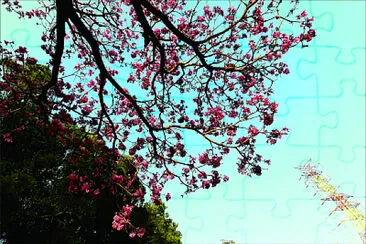 風景 jigsaw puzzle