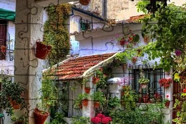 Patio típico de Córdoba jigsaw puzzle