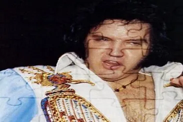 פאזל של ELVIS IN CONCERT