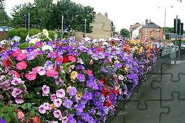 Summer Flowers jigsaw puzzle