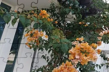 פאזל של BUGAMBILIAS EN CANCUN