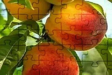 imagem jigsaw puzzle