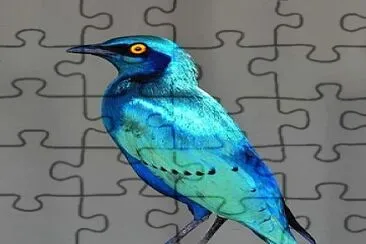 פאזל של oiseau