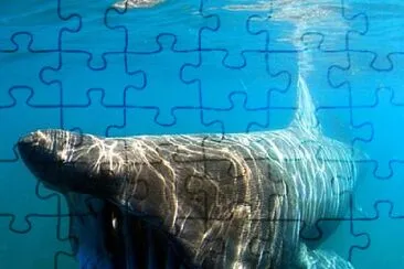 Eu jigsaw puzzle