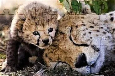 mom #344 jigsaw puzzle