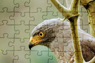 AVE jigsaw puzzle