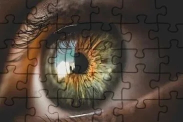 Toy jigsaw puzzle