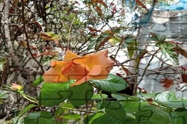 Flores jigsaw puzzle