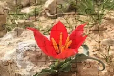 OK jigsaw puzzle