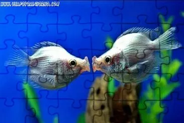 QUESTO E 'AMORE jigsaw puzzle