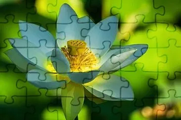 OK jigsaw puzzle