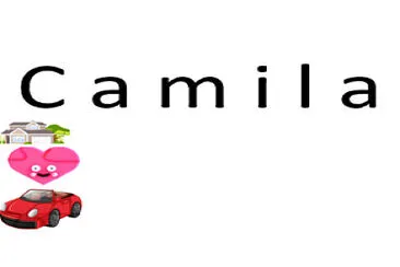 csmila jigsaw puzzle