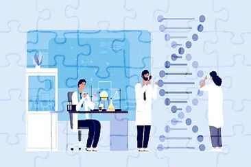 Diseño experimental de investigación