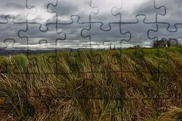 m9 jigsaw puzzle
