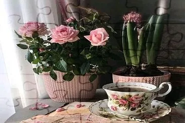taza jigsaw puzzle