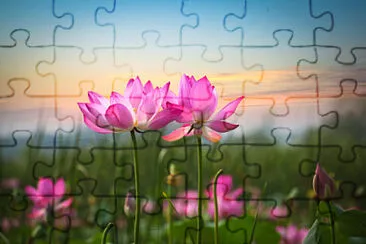 382 jigsaw puzzle