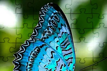 imagem jigsaw puzzle