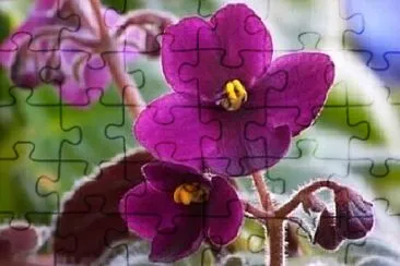 OK jigsaw puzzle