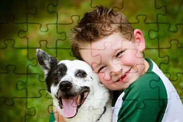 פאזל של amor e cuidados aos animais