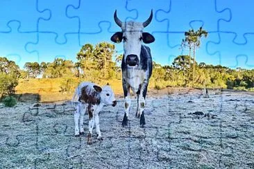 imagem jigsaw puzzle