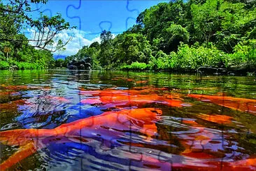 風景 jigsaw puzzle