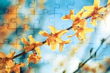 OK jigsaw puzzle