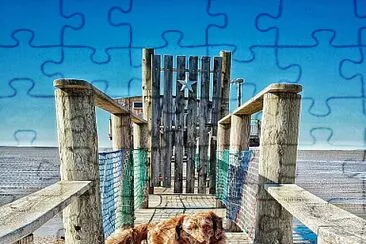 פאזל של Chien