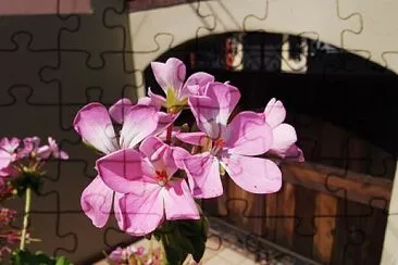 Flor jigsaw puzzle