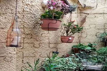jardín