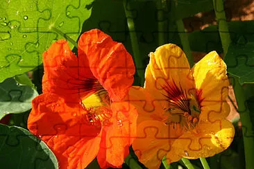 imagem jigsaw puzzle
