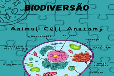 פאזל של Biodiversão