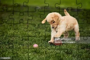 Etec Registro jigsaw puzzle