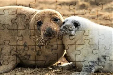 mom #347