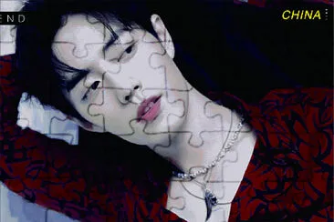  jigsaw puzzle