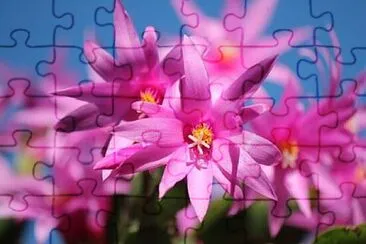 OK jigsaw puzzle