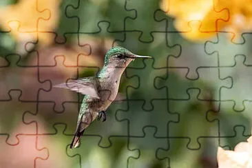 Toy jigsaw puzzle