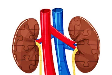 pulmones