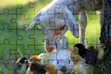 396 jigsaw puzzle