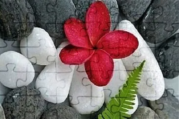 Toy jigsaw puzzle