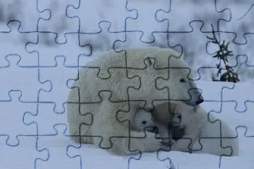 vida natural jigsaw puzzle